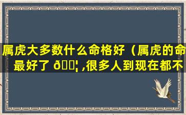 属虎大多数什么命格好（属虎的命最好了 🐦 ,很多人到现在都不知道,你是其中一个吗）